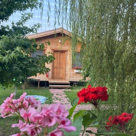 Inlice Uenzile Bungalow Inlice Kamp Fethiye Exterior photo
