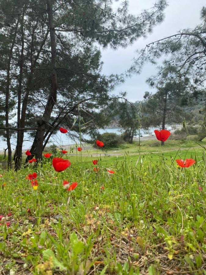 Inlice Uenzile Bungalow Inlice Kamp Fethiye Exterior photo