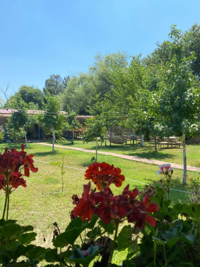 Inlice Uenzile Bungalow Inlice Kamp Fethiye Exterior photo