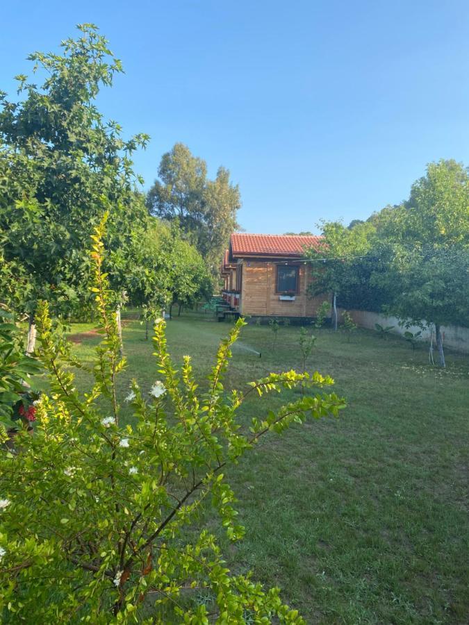 Inlice Uenzile Bungalow Inlice Kamp Fethiye Exterior photo