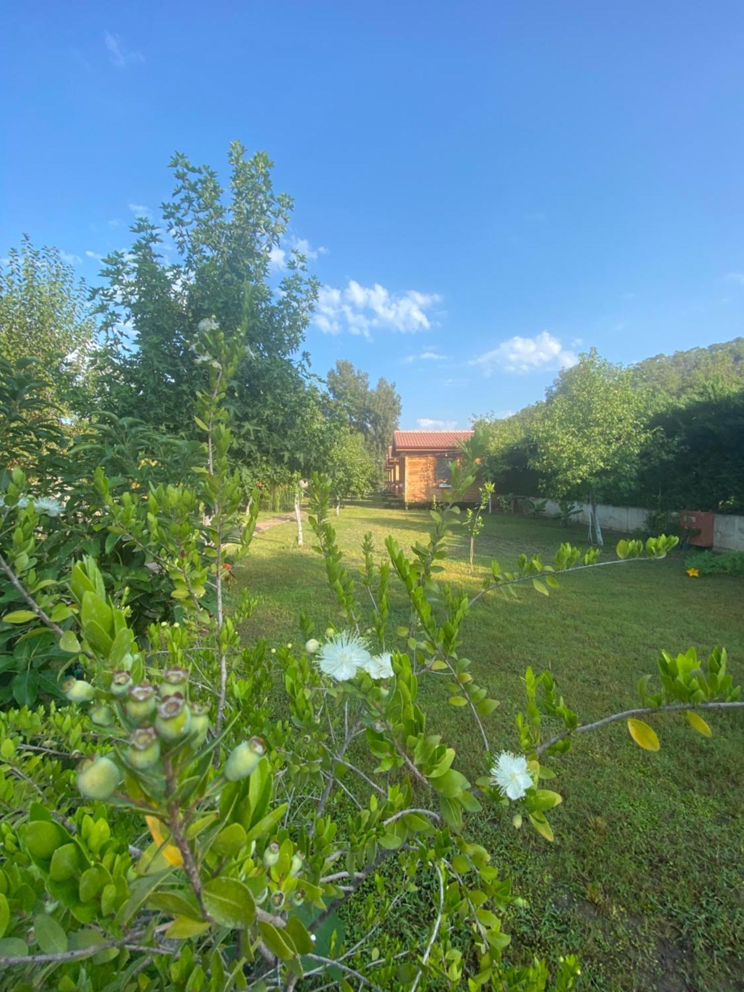Inlice Uenzile Bungalow Inlice Kamp Fethiye Exterior photo